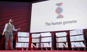 The Human Genome